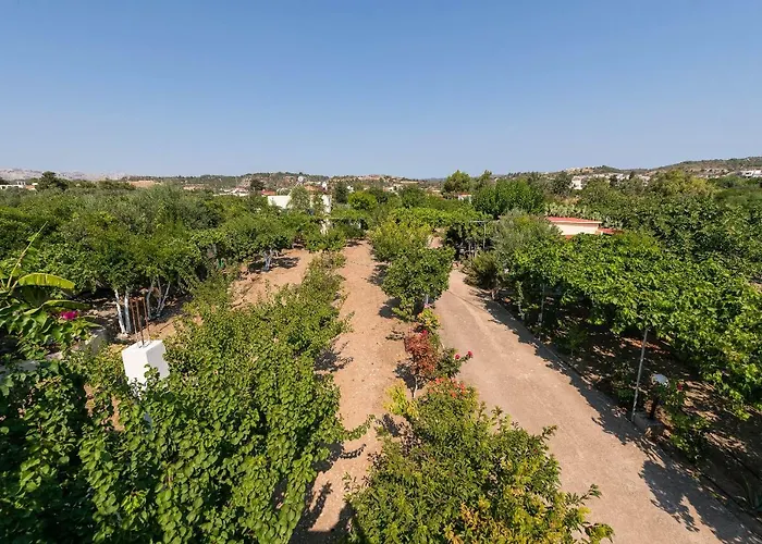 Eleftherias Garden House