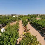 Eleftherias Garden House